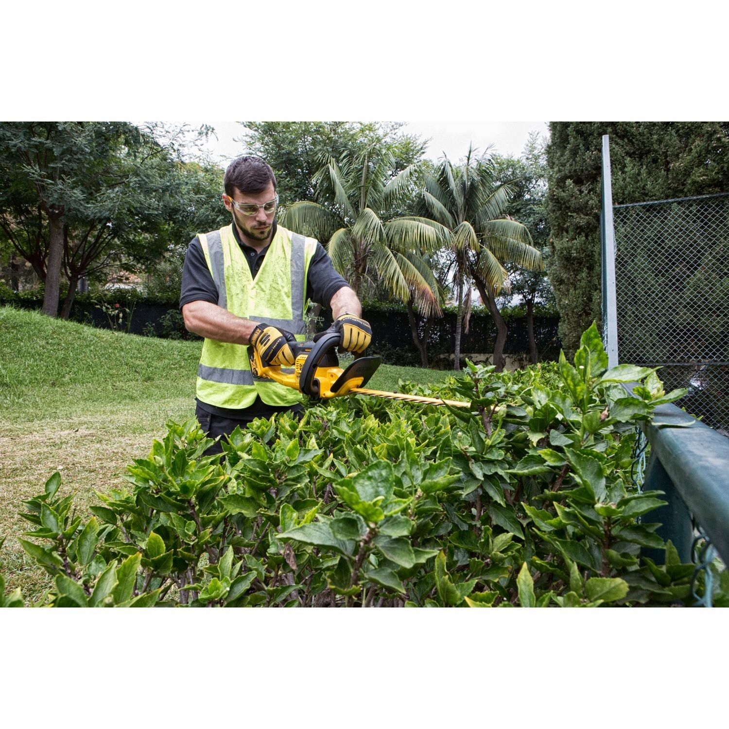 https://api.mastertools.nl/media/catalog/product/cache/4ac98b0d5e81b56bd000310ba88c60e0/d/e/dewalt-dcm563pb-accu-heggenschaar-550mm-18v-basic-body-5035048643839-mastertools_nl-10.jpg