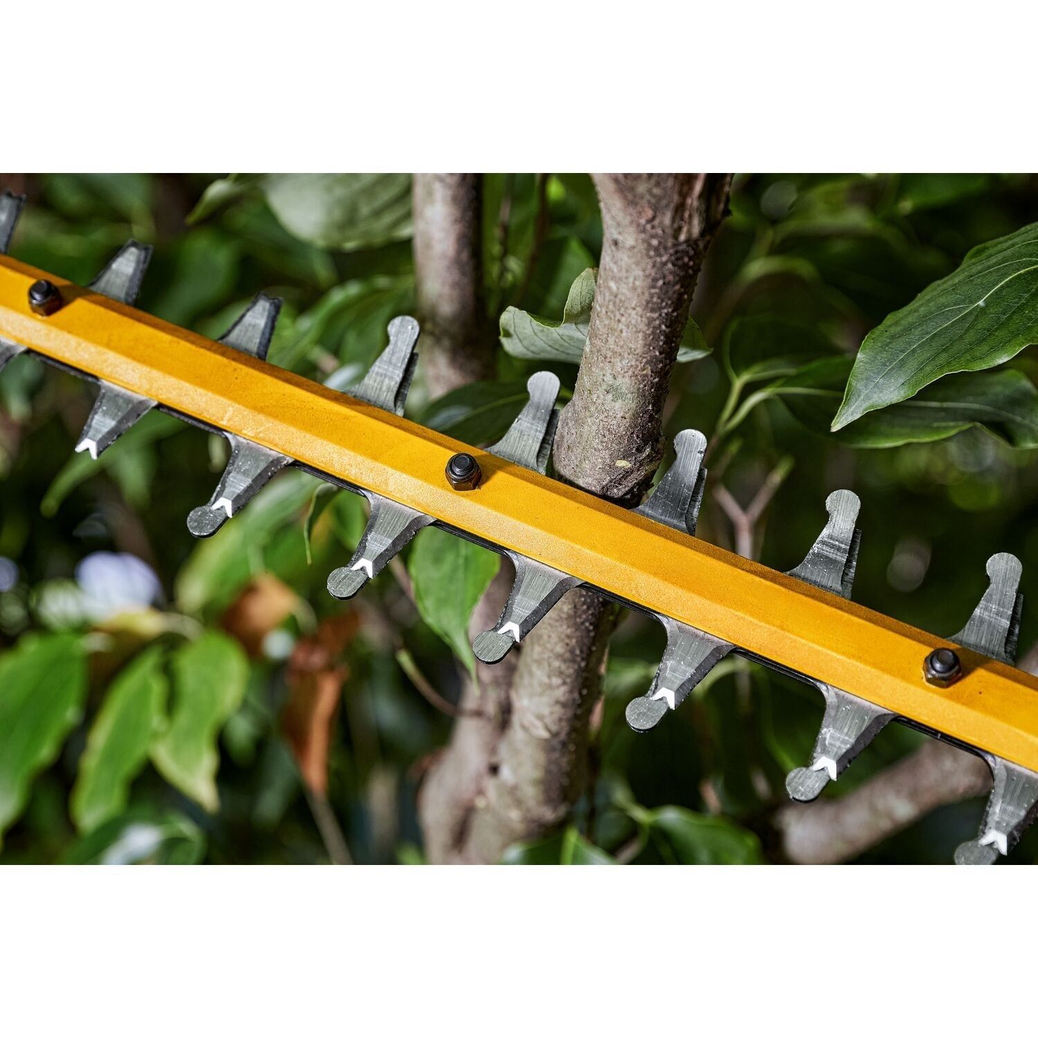 https://api.mastertools.nl/media/catalog/product/cache/4ac98b0d5e81b56bd000310ba88c60e0/d/e/dewalt-dcmht573n-flexvolt-heggenschaar-65cm-54v-basic-body-5035048748473-mastertools_nl-6.jpg