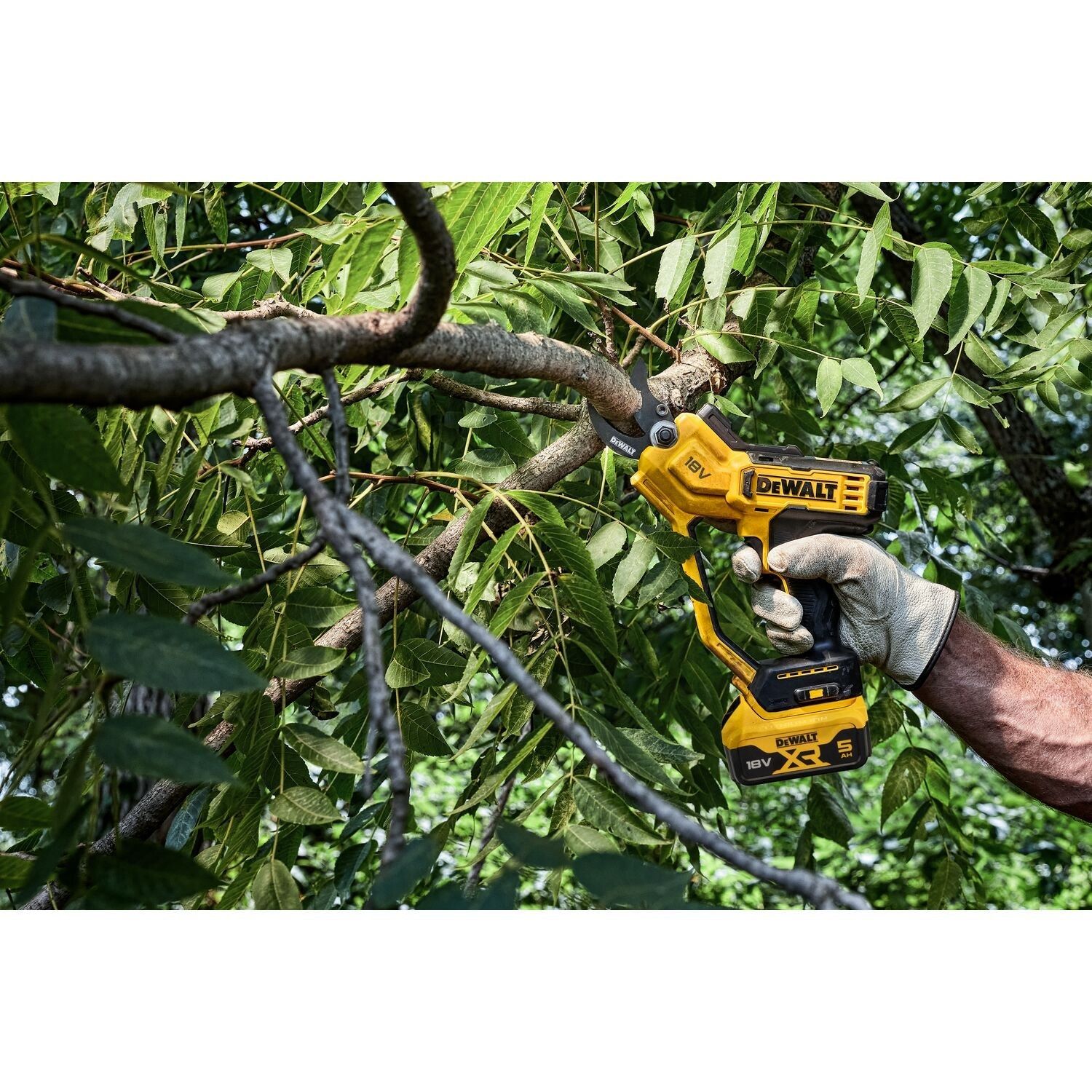 https://api.mastertools.nl/media/catalog/product/cache/4ac98b0d5e81b56bd000310ba88c60e0/d/e/dewalt-dcmpp568p1-18v-xr-snoeischaar-met-1x-5_0ah-accu-5035048788561-mastertools_nl-7.jpg