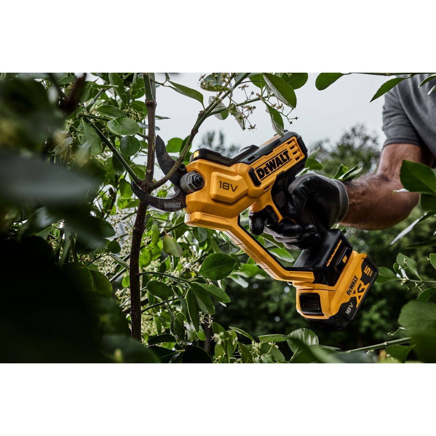https://api.mastertools.nl/media/catalog/product/cache/4ac98b0d5e81b56bd000310ba88c60e0/d/e/dewalt-dcmpp568p1-18v-xr-snoeischaar-met-1x-5_0ah-accu-5035048788561-mastertools_nl-8.jpg