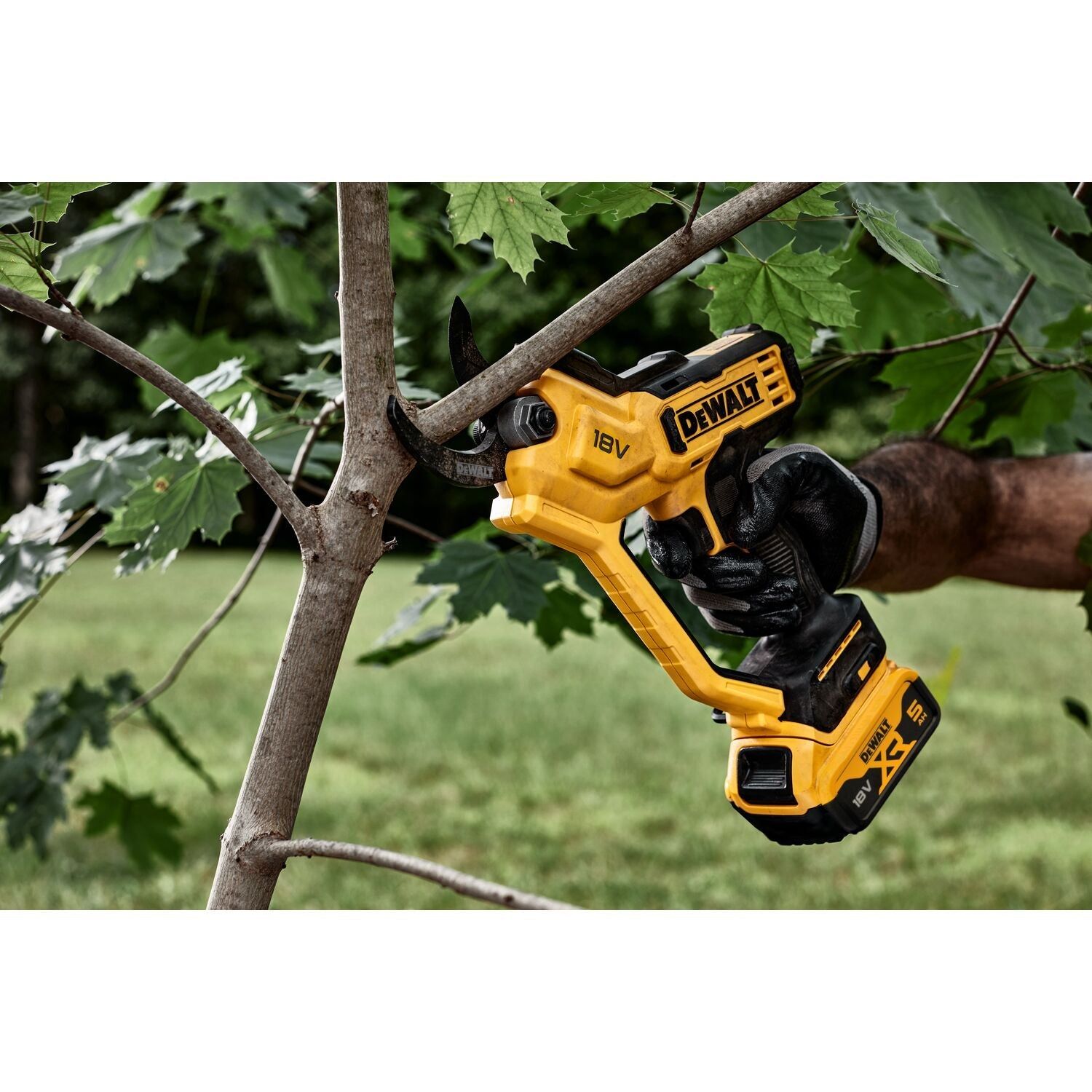 https://api.mastertools.nl/media/catalog/product/cache/4ac98b0d5e81b56bd000310ba88c60e0/d/e/dewalt-dcmpp568p1-18v-xr-snoeischaar-met-1x-5_0ah-accu-5035048788561-mastertools_nl-9.jpg