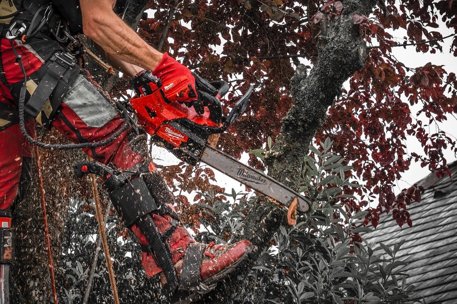 https://api.mastertools.nl/media/catalog/product/cache/4ac98b0d5e81b56bd000310ba88c60e0/m/1/m18_fthchs30-802--app_1.jpg