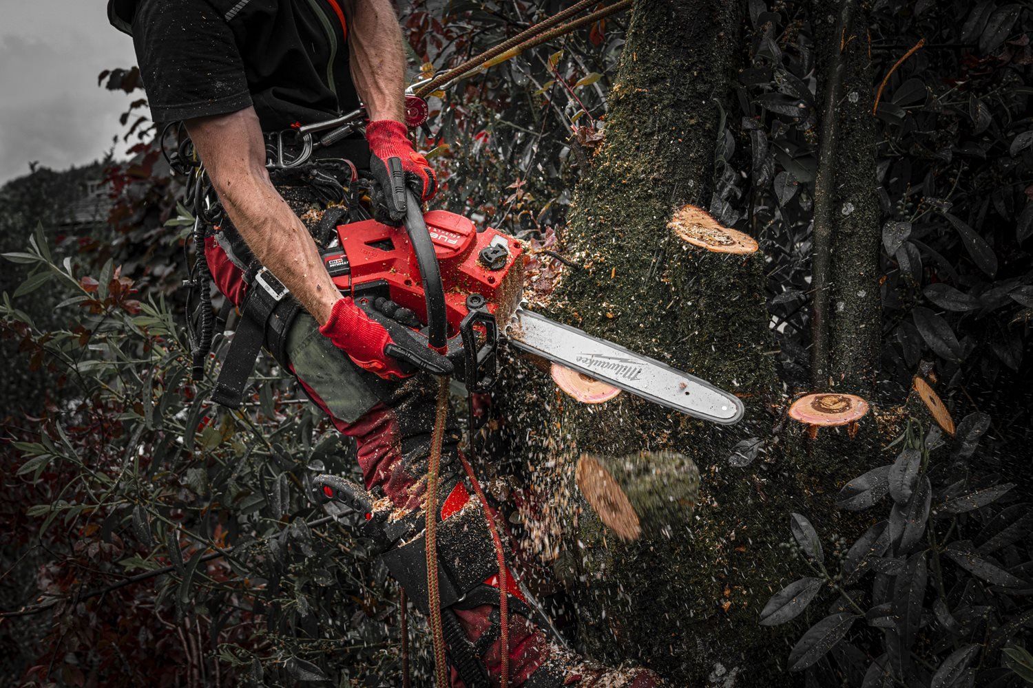 https://api.mastertools.nl/media/catalog/product/cache/4ac98b0d5e81b56bd000310ba88c60e0/m/1/m18_fthchs30-802--app_5.jpg