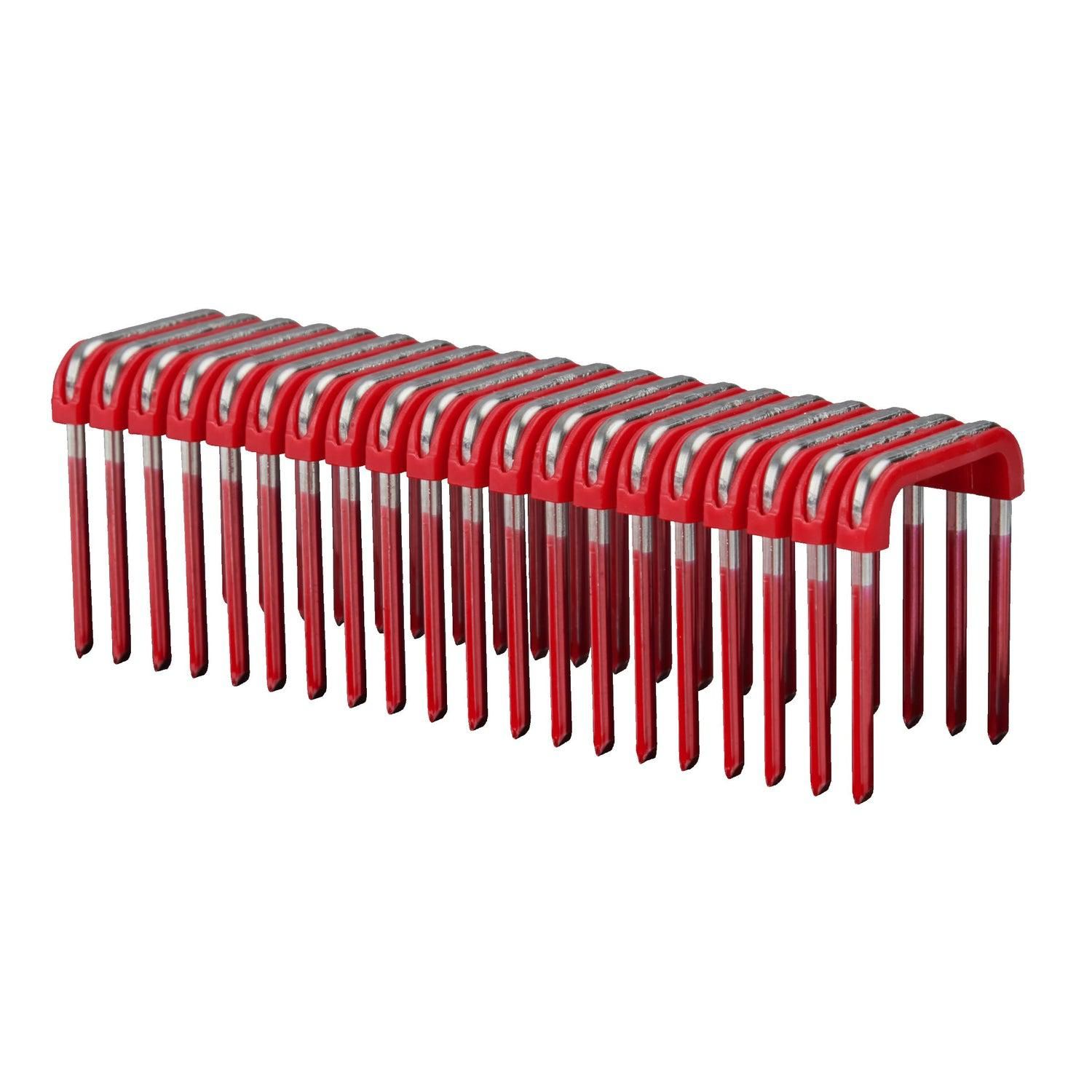https://api.mastertools.nl/media/catalog/product/cache/4ac98b0d5e81b56bd000310ba88c60e0/m/i/milwaukee-kabelnieten-19x25mm-ve600-4932479628-4058546374228-mastertools_nl.jpg