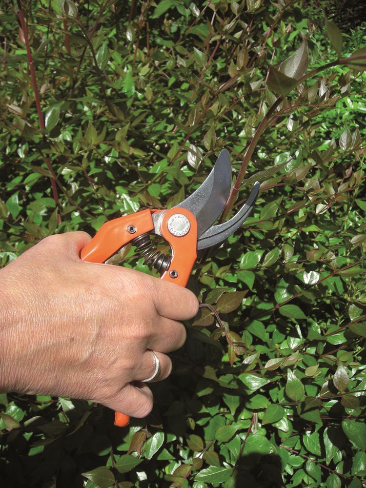 https://api.mastertools.nl/media/catalog/product/cache/4ac98b0d5e81b56bd000310ba88c60e0/p/1/p121-23-f-app1.jpg