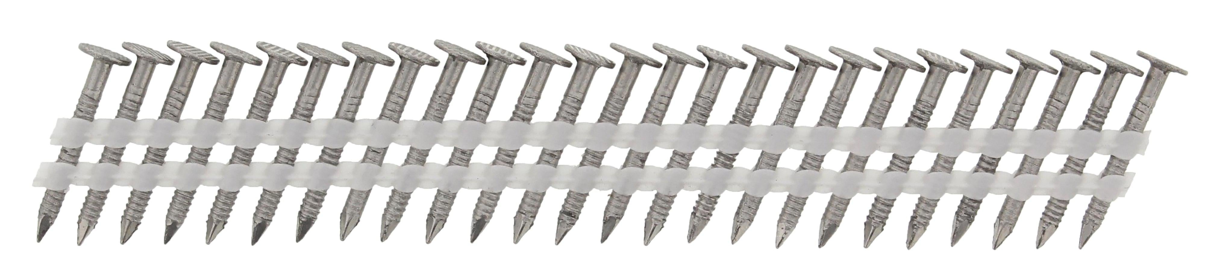 Haubold Haften op strip RB 2,5x25 ring inox A2 FH - 575203 afbeelding